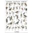 Birds of Prey & Owls