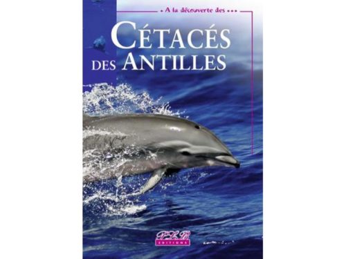 Cétacés des Antilles