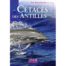 Cétacés des Antilles