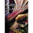 Coquillages des Antilles