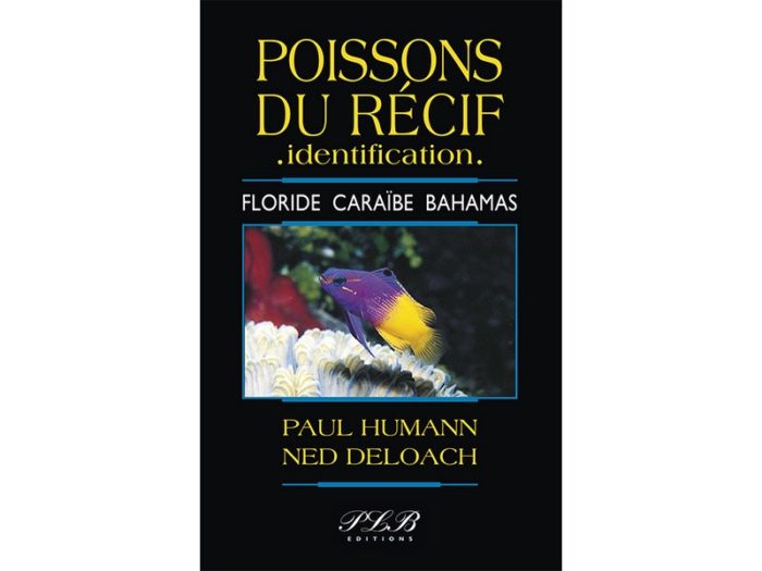 Coraux du récif, Identification