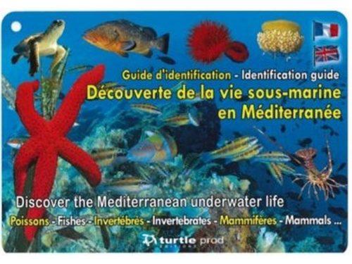 Découverte de la vie sous-marine en Méditerranée - Guide d'identification (FR/EN)