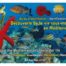 Découverte de la vie sous-marine en Méditerranée - Guide d'identification (FR/EN)