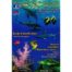 Découverte de la vie sous-marine Océan Indien, Mer Rouge - Dépliant (FR/EN)