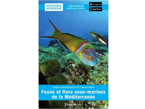 Découvrir Autrement - Faune et flore sous-marines de la Méditerranée