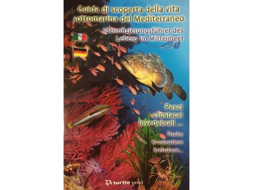 Entdeckung der Unterwasserwelt des Mittelmeers - Faltblatt (DE/IT)