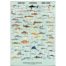 Game Fish