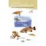 Guide illustré de la faune de Méditerranée, Poissons, céphalopodes, tortues, oiseaux et mammifères