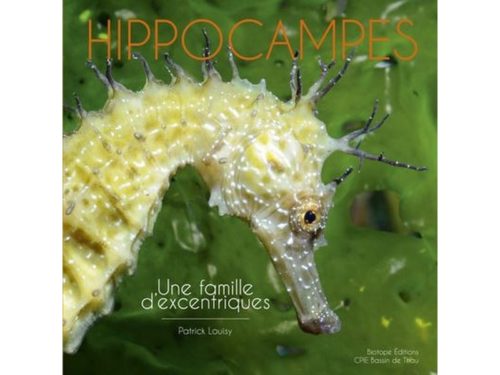 Hippocampes, une famille d'excentriques