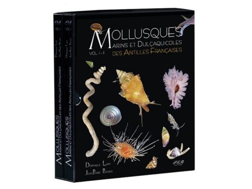 Marine and Freshwater Molluscs of the French Caribbean