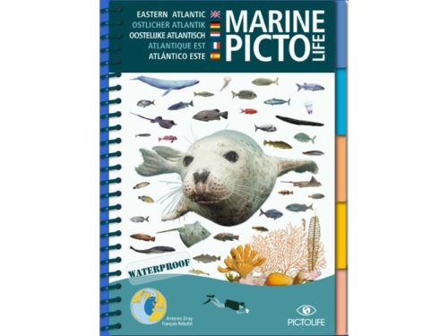 Marine Picto Life - Atlantique Est (EN/DE/NL/FR/ES)