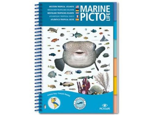 Marine Picto Life - Atlantique Tropicale Ouest (EN/DE/NL/FR/ES)
