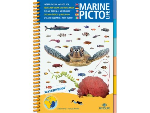 Marine Picto Life - Océan Indien et Mer Rouge (EN/DE/FR/ES/IT)