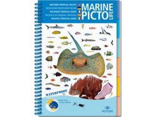 Marine Picto Life - Pacifique Tropical Ouest (EN/DE/FR/ES/IT)
