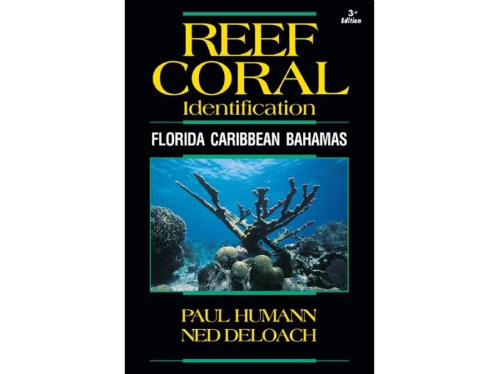 Reef Coral Identification - Florida, Caribbean, Bahamas