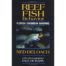 Reef Fish Behavior - Florida, Caribbean, Bahamas