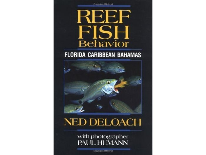 Reef Fish Behavior - Florida, Caribbean, Bahamas