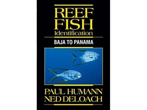 Reef Fish Identification - Baja to Panama