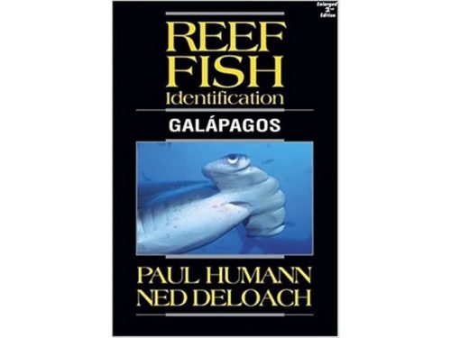 Reef Fish Identification - Galapagos