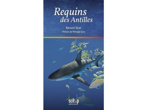 Requins des Antilles (derniers ouvrages)