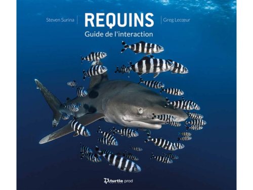 Requins - Guide de l'interaction