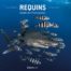 Requins - Guide de l'interaction