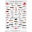 South American Fish & Shellfish