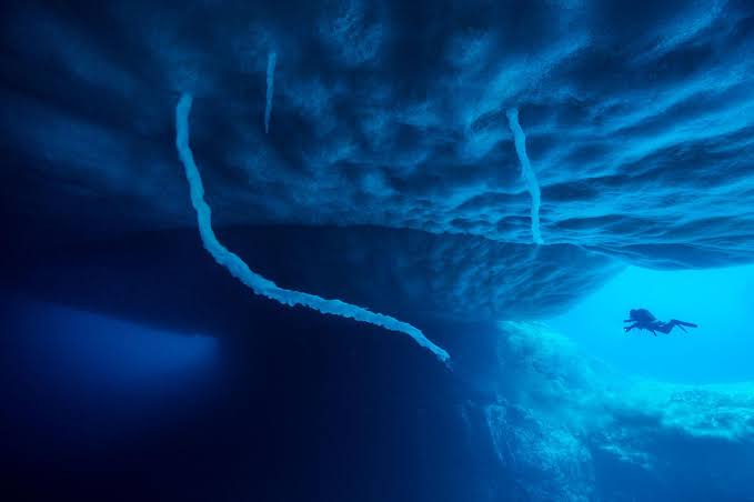 plongee antarctique Plongée Antarctique