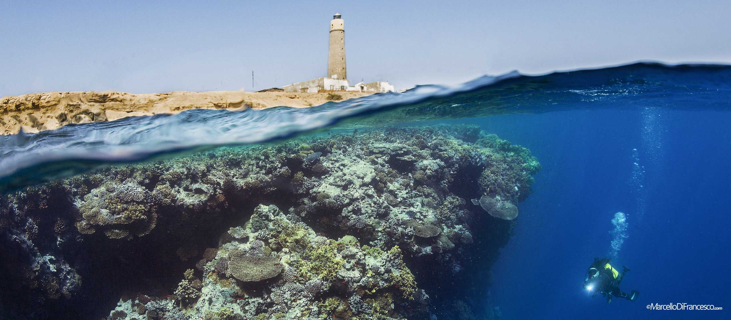 croisiere egypte dive lyon Brothers Island - Dive Lyon