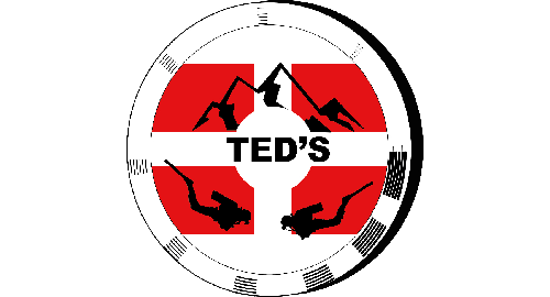 Ted's