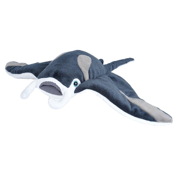 raie manta 30cm wild republic