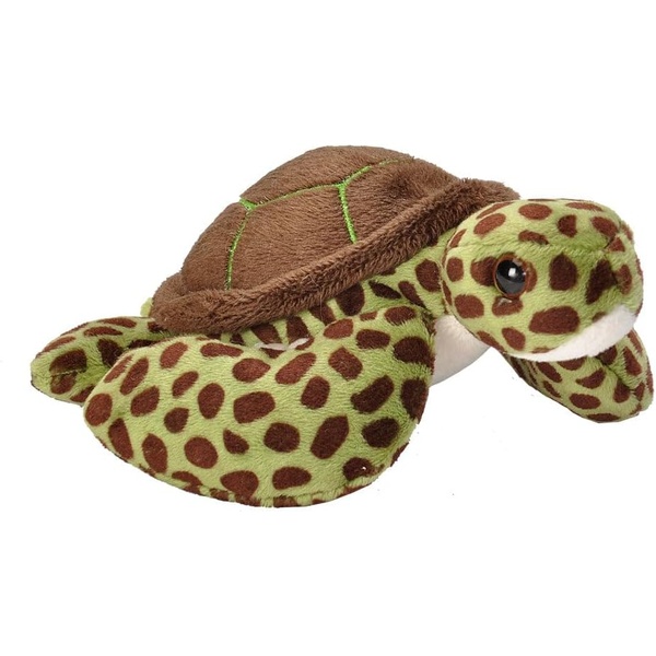 tortue 13cm wild republic