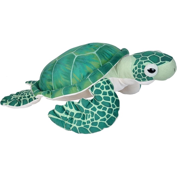 tortue verte 38 cm wild republic