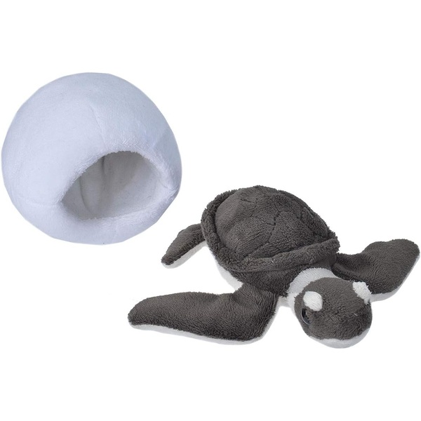 bébé tortue verte 15cm wild republic