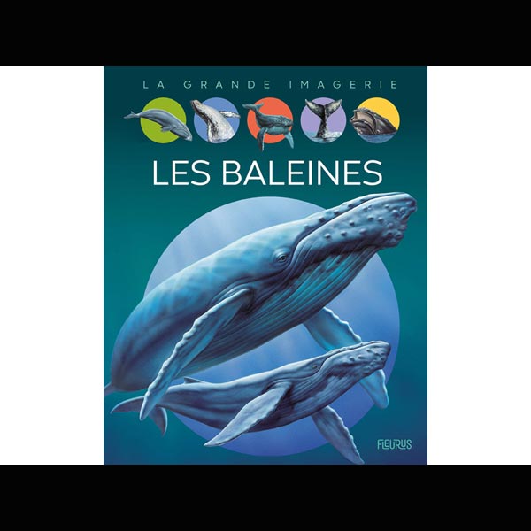 la grande imagerie : les baleines