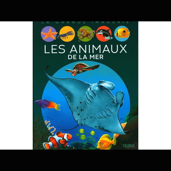 la grande imagerie : les animaux de la mer