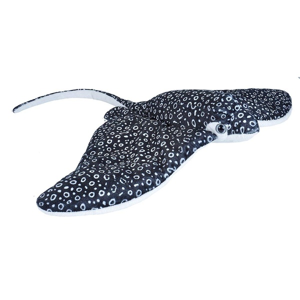raie aigle 30cm wild republic
