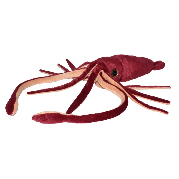 calamar geant 50cm wild republic