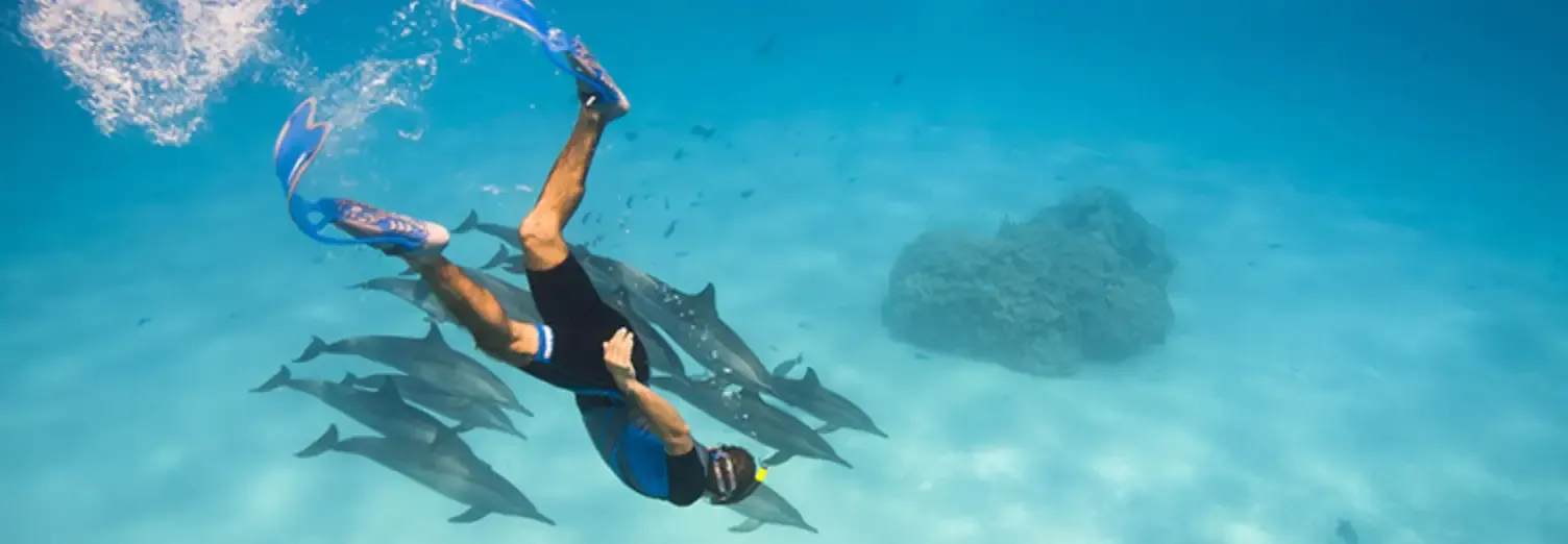 imgi 59 78fea86ea46f994b7c5d3dc87cf264f4