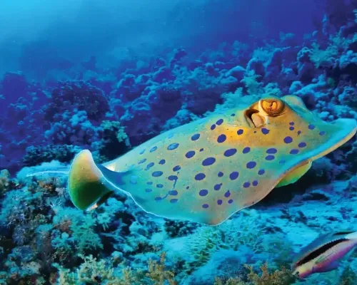 imgi 66 86ef20a7bc89b8982c92f3ac1a88ce1c