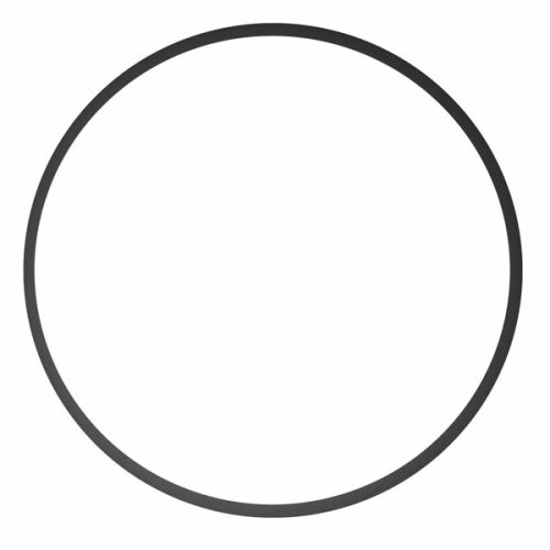 joint torique ikelite