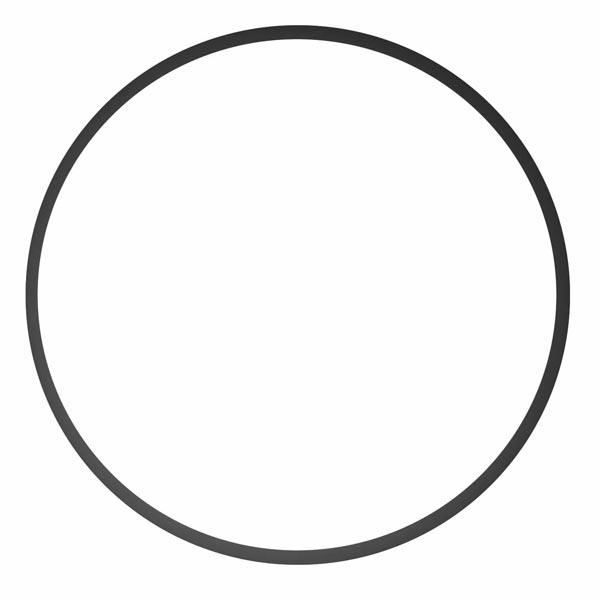 joint torique ikelite