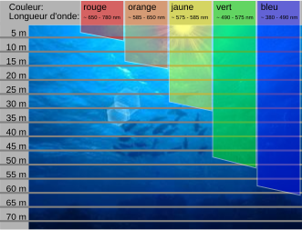 absorption des couleurs sous l'eau.svg