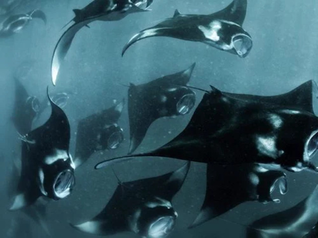 imgi 29 784f7b34a383d31f0d279ff14915cb69 e1756135375962.jpg