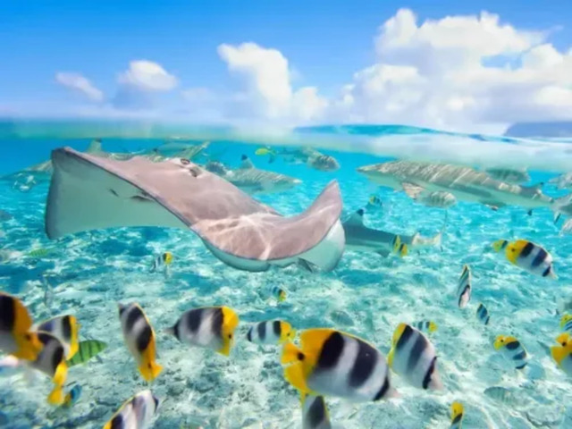 imgi 59 7a771509d3546c0b12639f180aaa1b38 e1756462363694