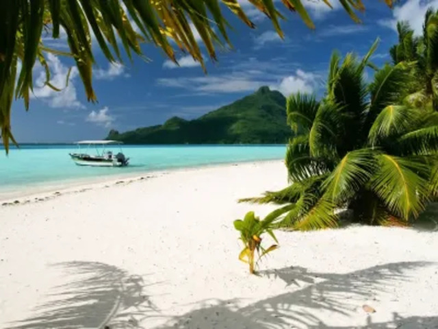 imgi 69 794c2ce5082ed2bcff8c44b292141ef1 400x274