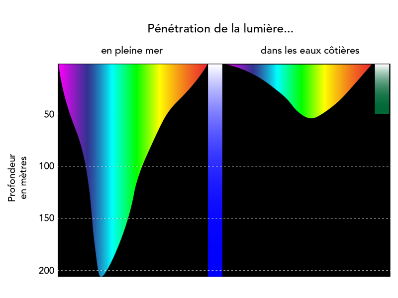 pénétration de la lumière dans l'océan