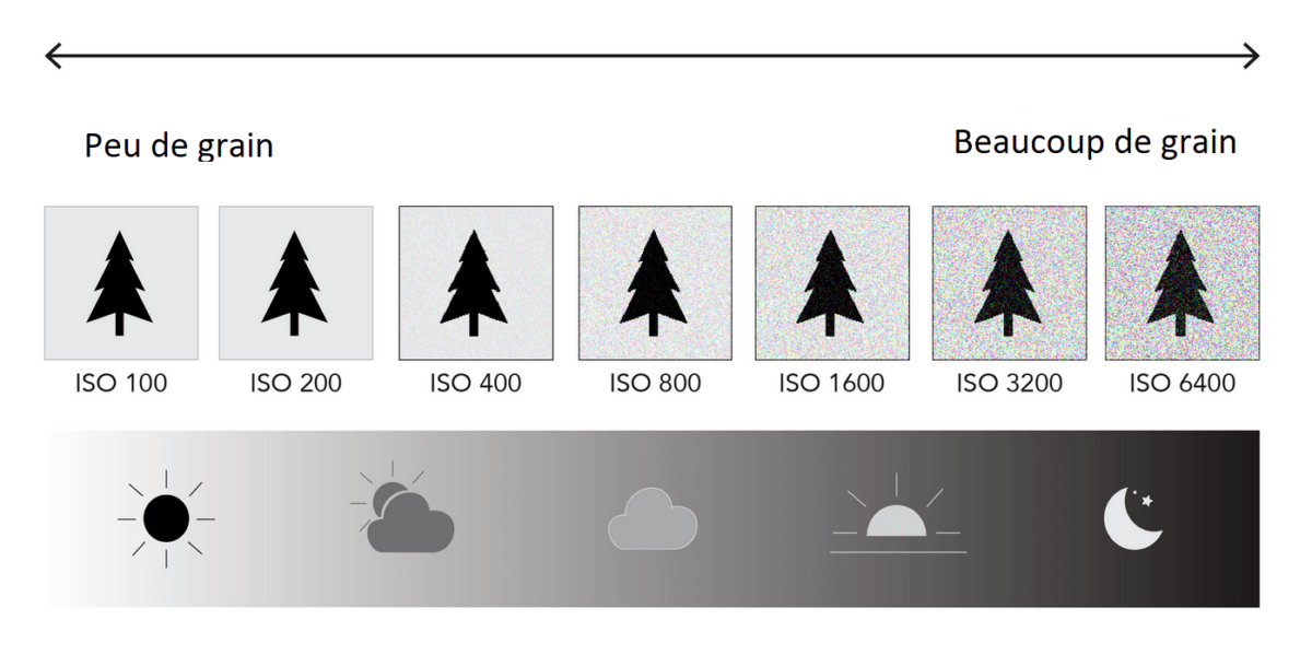 sans titre 6 1200x599