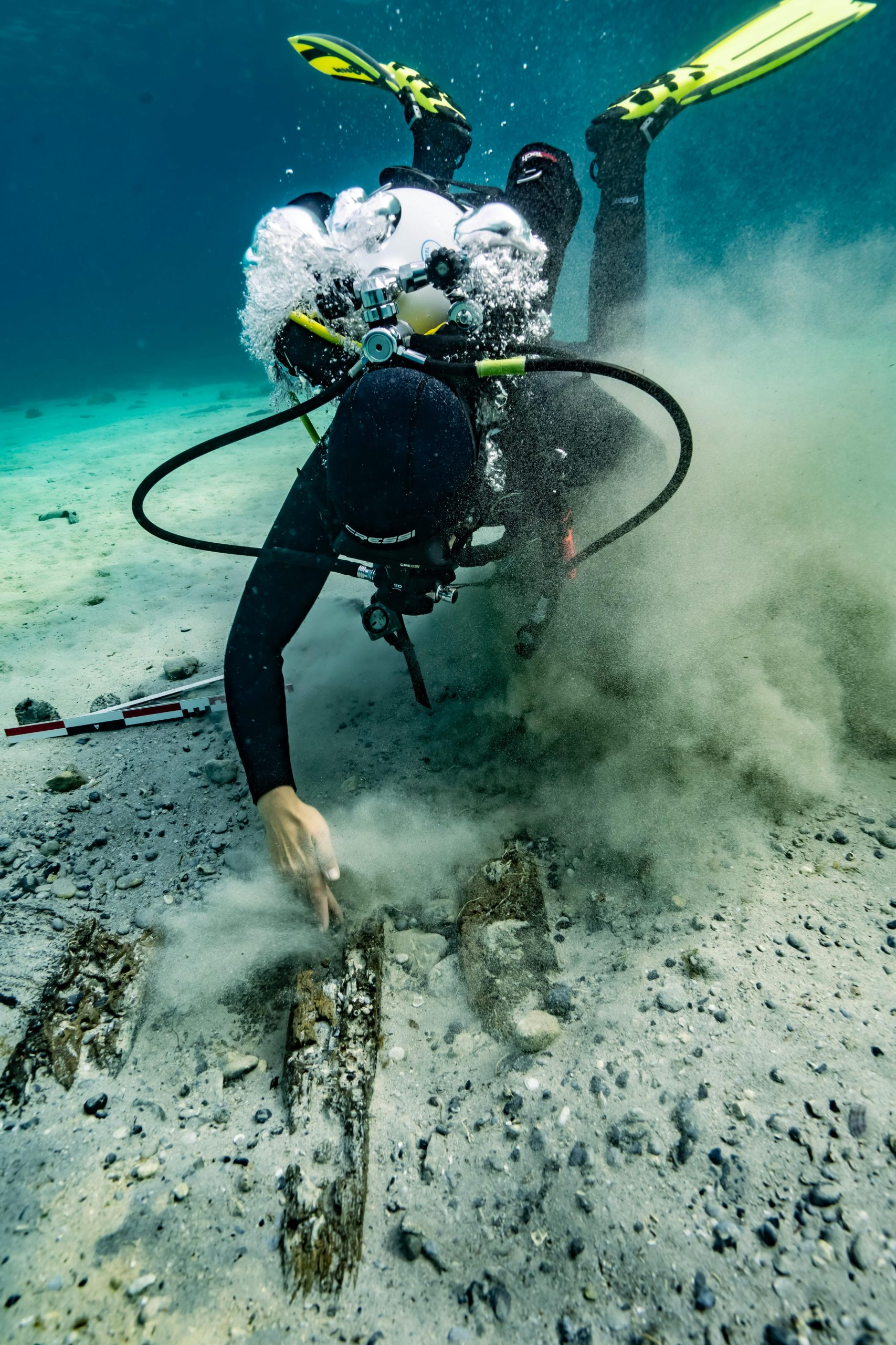 pexels mateusz popek 571455082 19942717 pexels mateusz popek 571455082 19942717