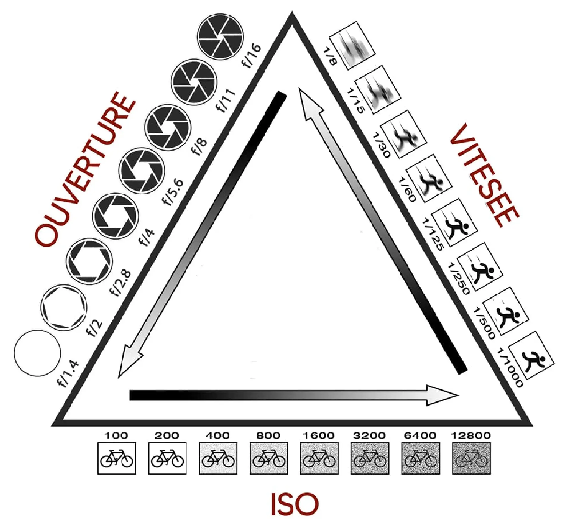 triangle exposition photo